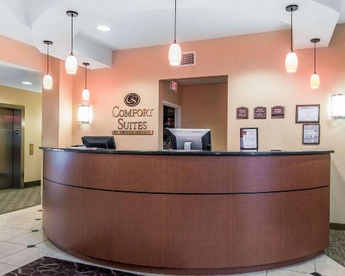 University Inn Vestal image 4